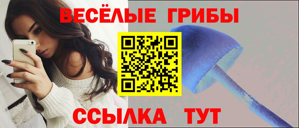 Псилоцибиновые грибы Magic Shrooms Нефтекумск